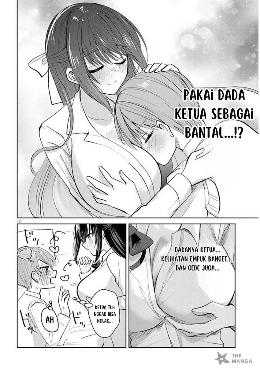 Kotowarenai Kaichou wa Tomoe-kun ni dake Shiteagetai Chapter 2 - halaman 13