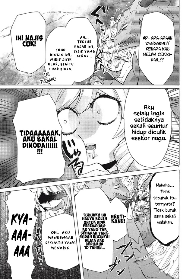 "Kukuku....... Yatsu wa Shitennou no Naka demo Saijaku" to Kaiko sareta Ore, Naze ka Yuusha to Seijo no Shishou ni Naru Chapter 15.1 - halaman 17