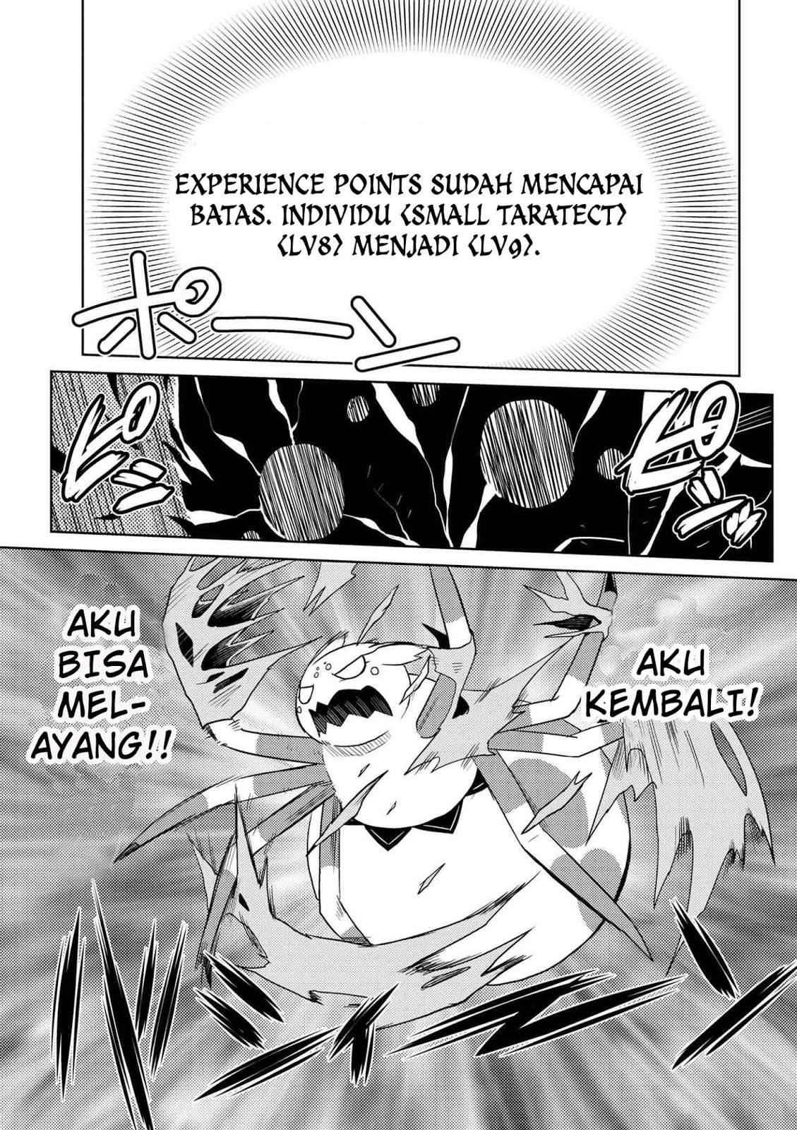 Kumo desu ga, Nani ka? Chapter 14.3 - halaman 8