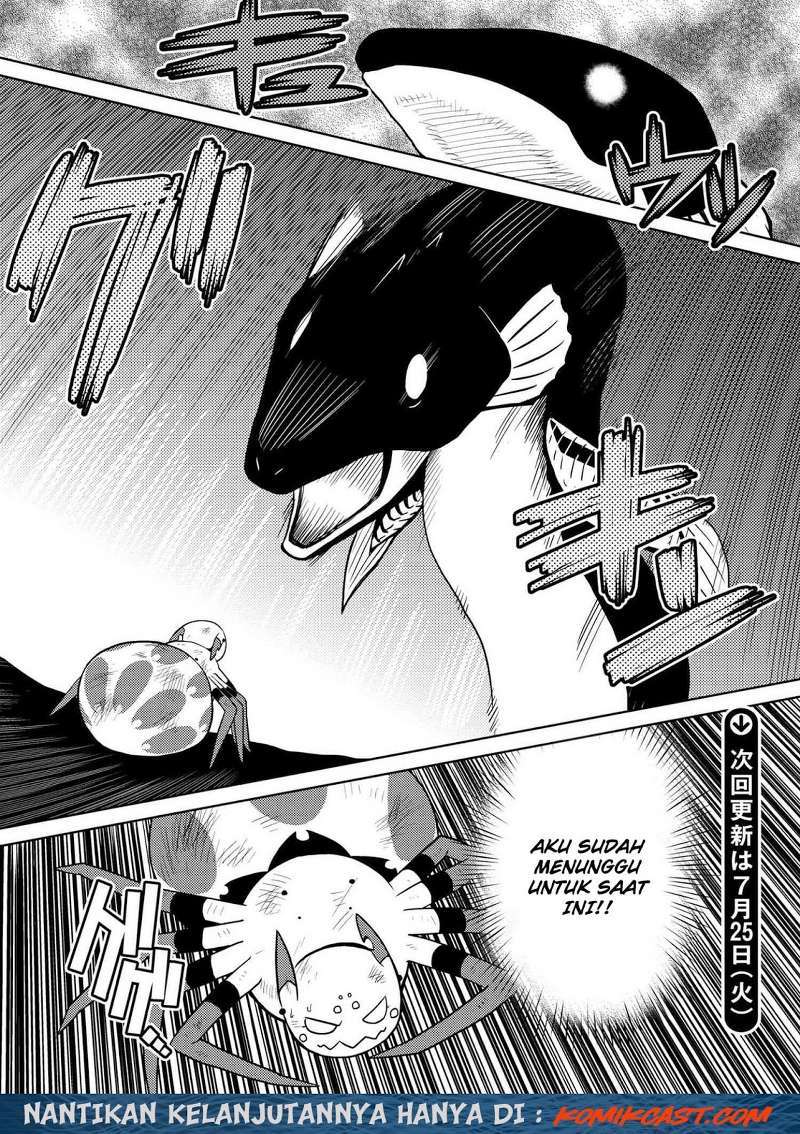 Kumo desu ga, Nani ka? Chapter 18.1 - halaman 17