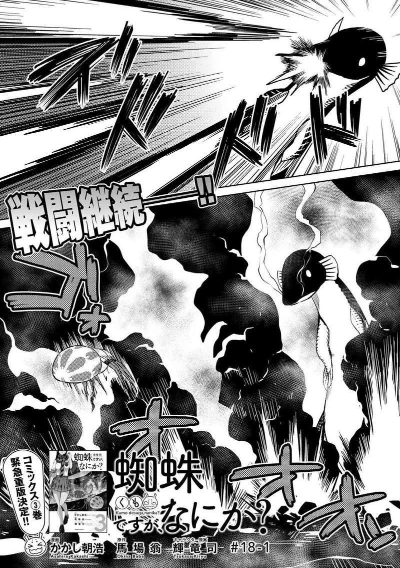 Kumo desu ga, Nani ka? Chapter 18.1 - halaman 2