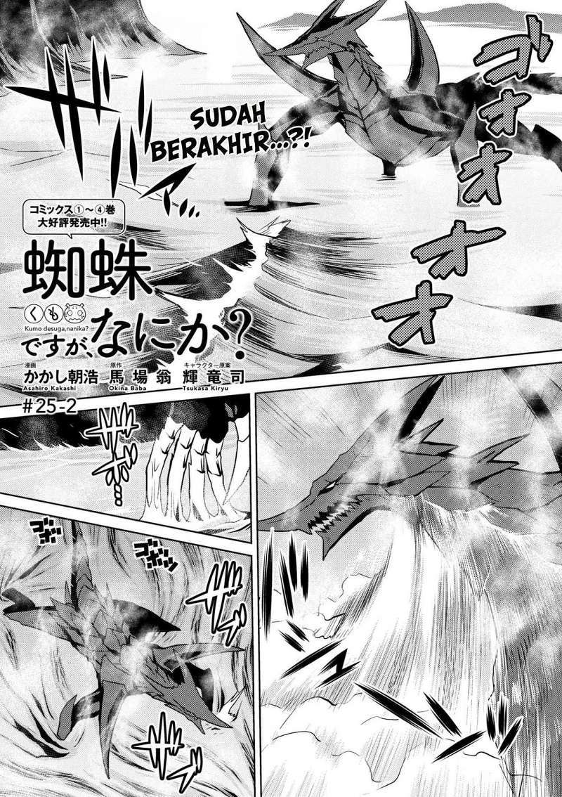 Kumo desu ga, Nani ka? Chapter 25.2 - halaman 2