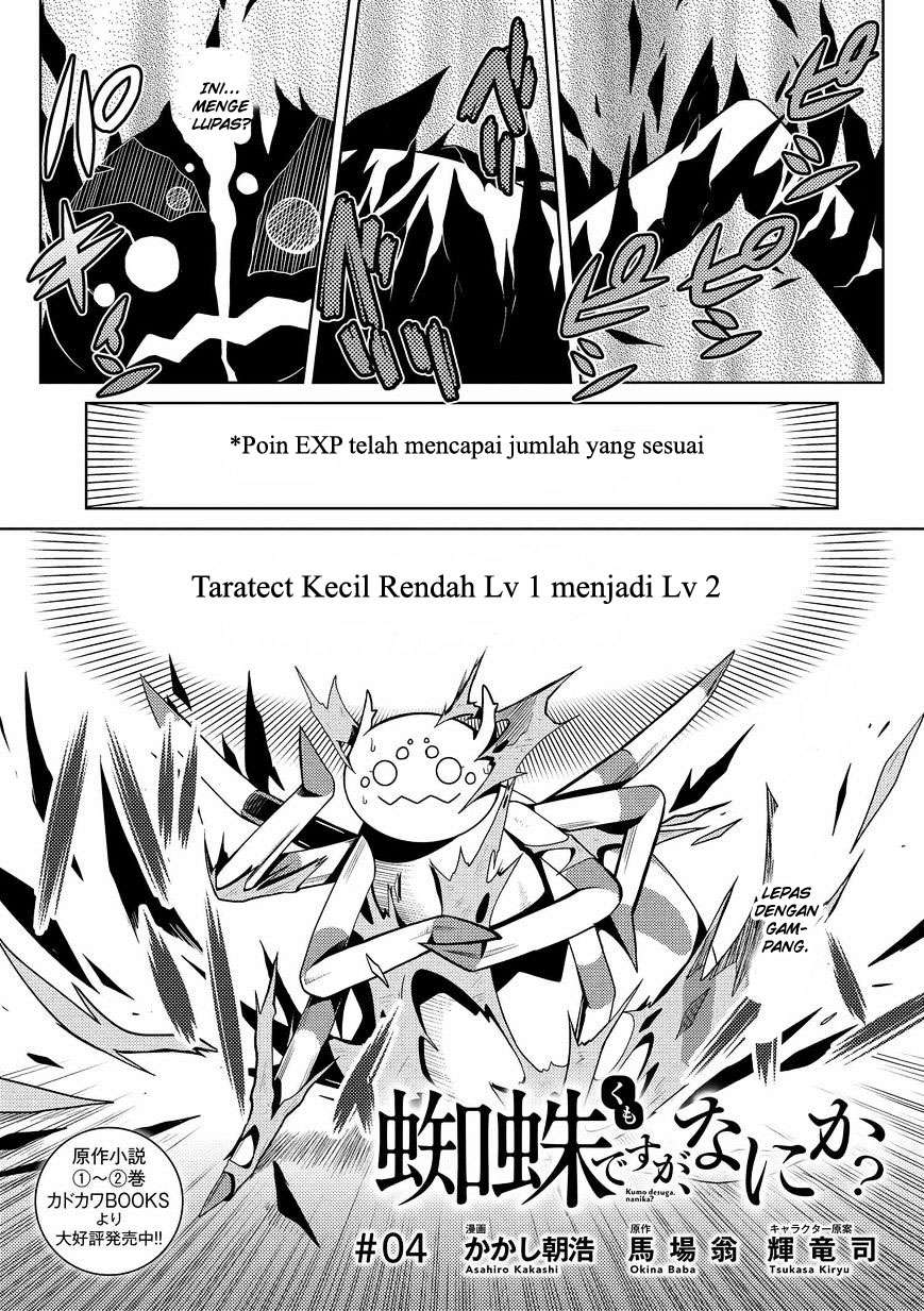 Kumo desu ga, Nani ka? Chapter 4 - halaman 2