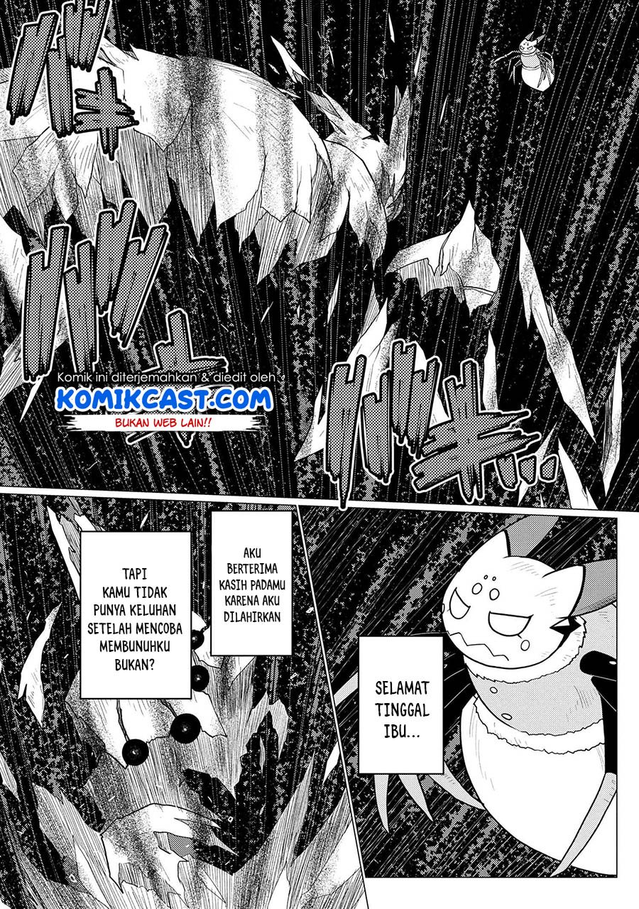Kumo desu ga, Nani ka? Chapter 47.2 - halaman 4