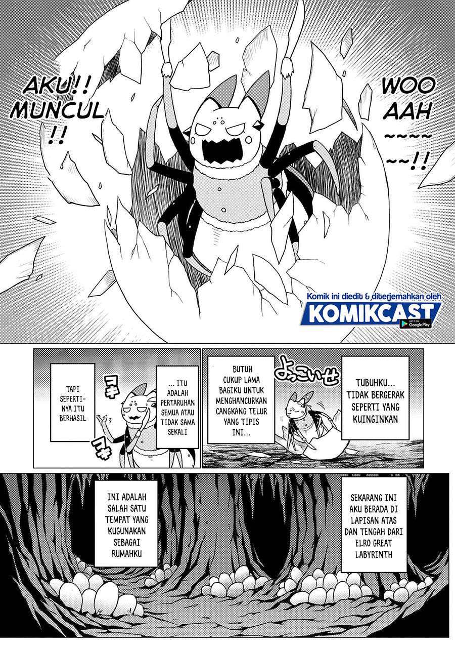 Kumo desu ga, Nani ka? Chapter 51.2 - halaman 13