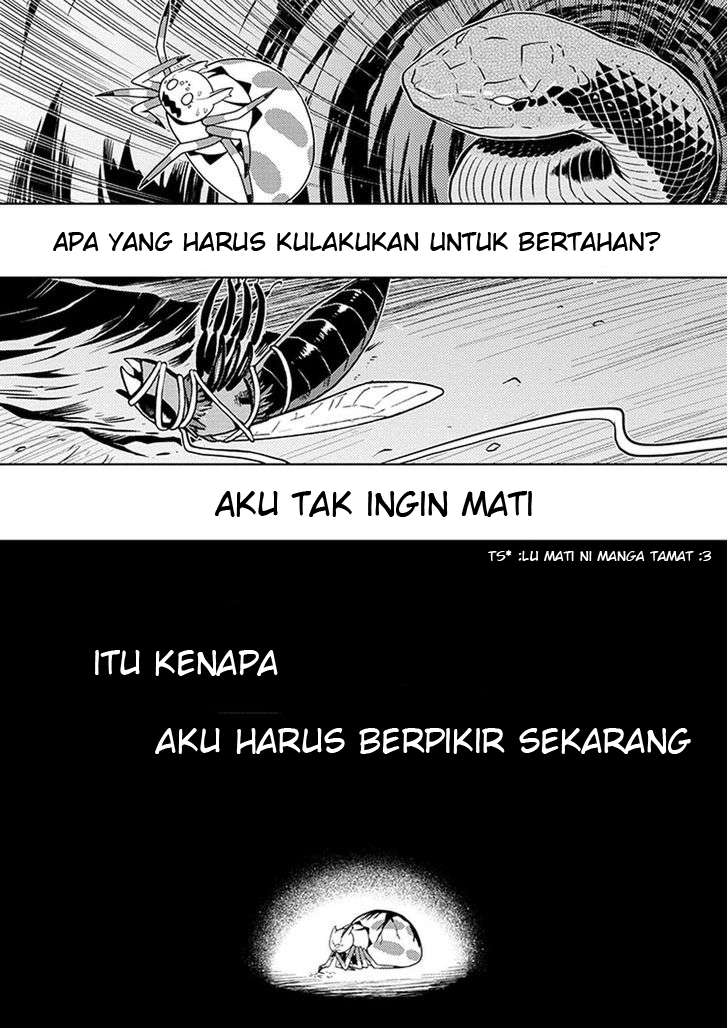 Kumo desu ga, Nani ka? Chapter 8 - halaman 11