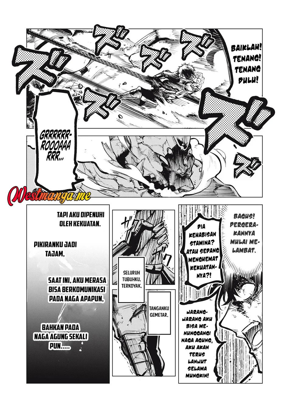 Kuni wo Owareta Ryuushi-san, Hirowareta Ringoku de Ukkari Musou shite Shimau Chapter 24.1 - halaman 12