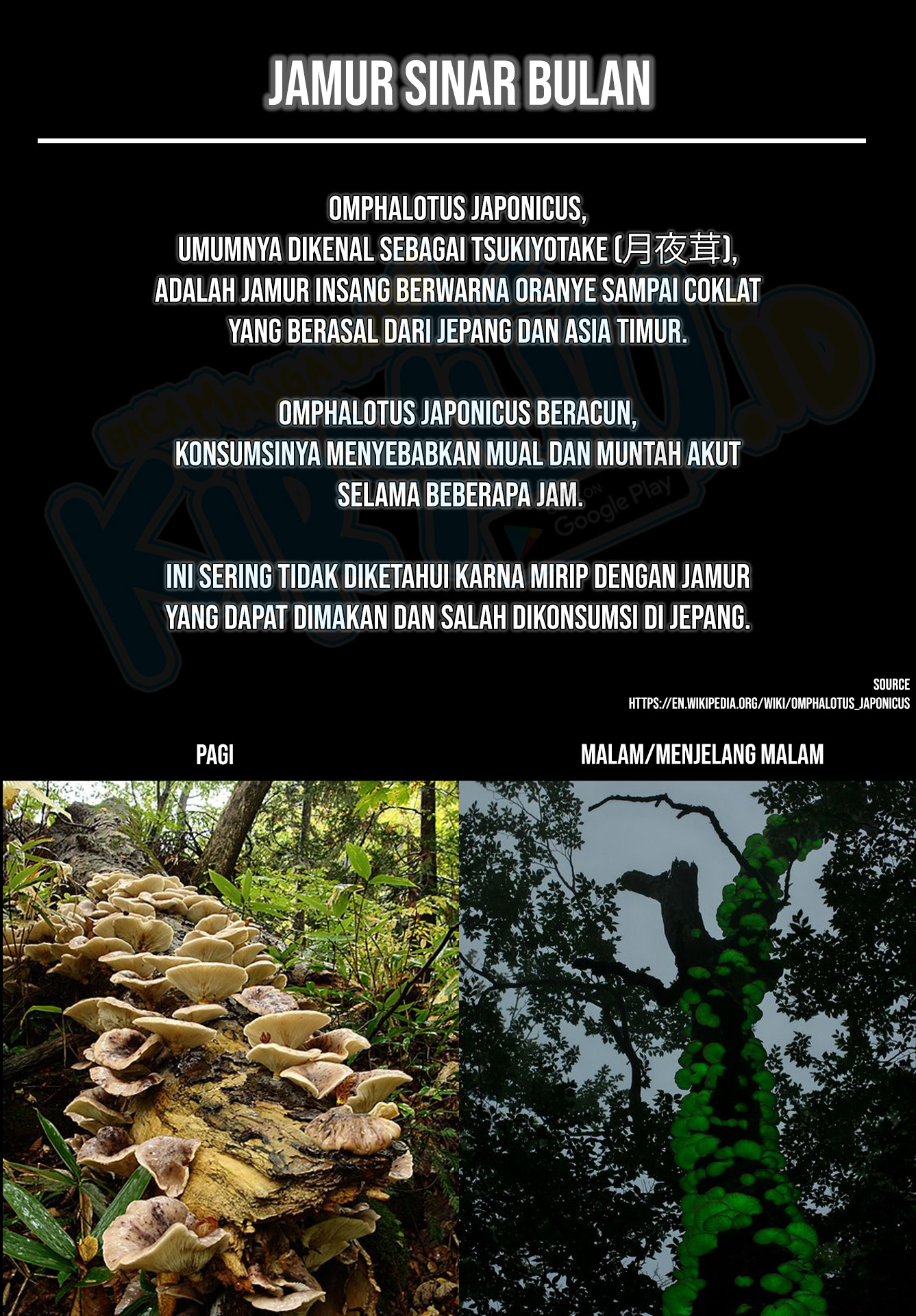 Kusuriya no Hitorigoto Chapter 59.2 - halaman 30