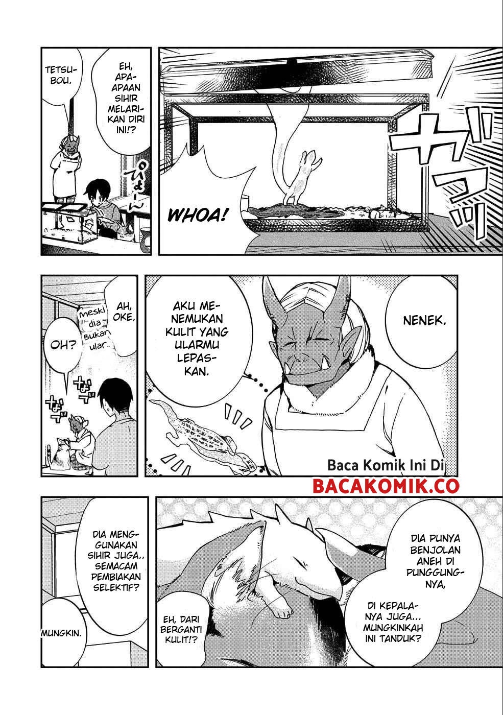 Kyuubo: Suterareteta Dragon Hirotta Chapter 1 - halaman 11