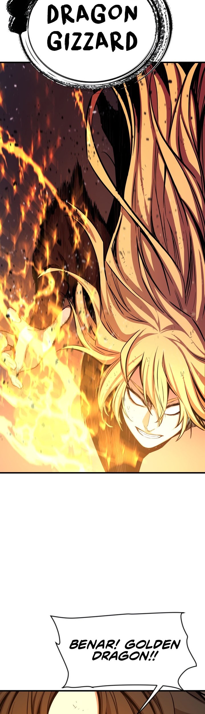 Legend Of Mir Golden Armored Dragon Chapter 48 - halaman 27