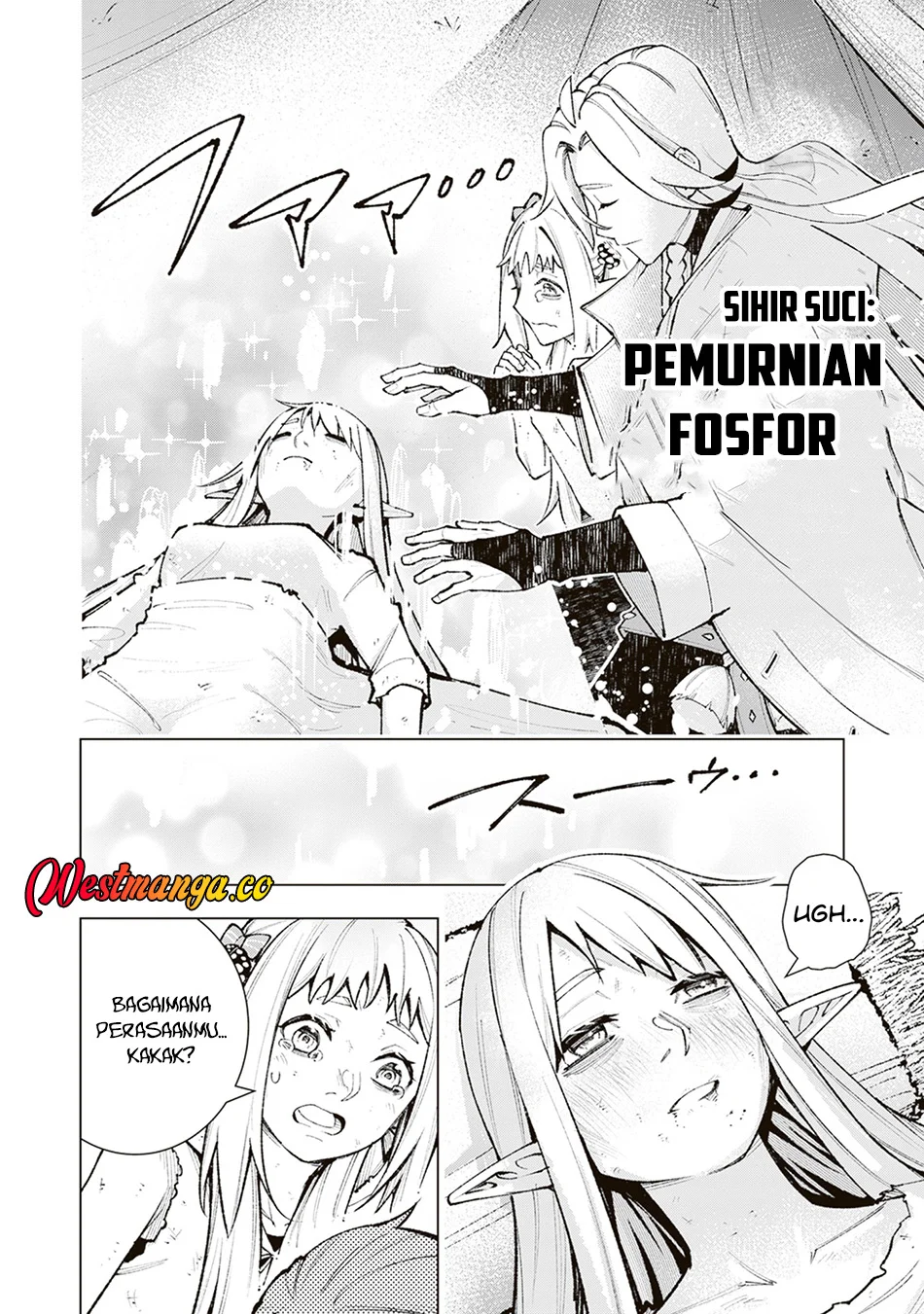 Level Count Stop kara Hajimaru, Kamisama-teki Isekai Life: Saikyou Status ni Tensei shita node Suki ni Ikimasu Chapter 4 - halaman 13