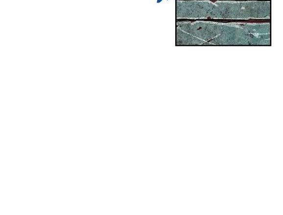 Leviathan Chapter 45 - halaman 23