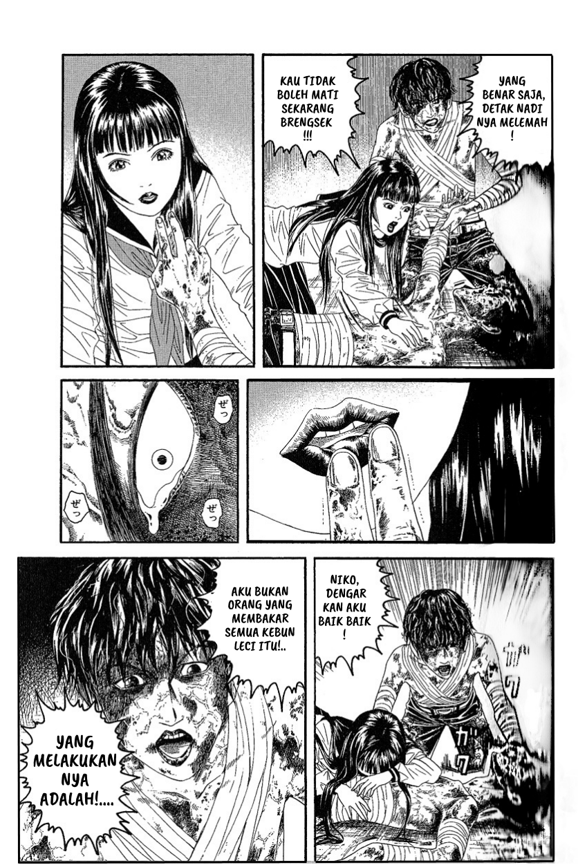 Litchi☆Hikari Club Chapter 7 - halaman 11