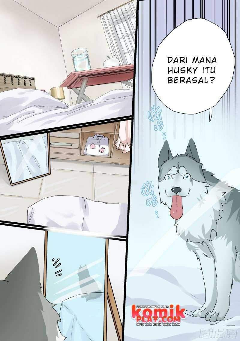 live stream: The Husky of the Goddess Chapter 0 - halaman 3