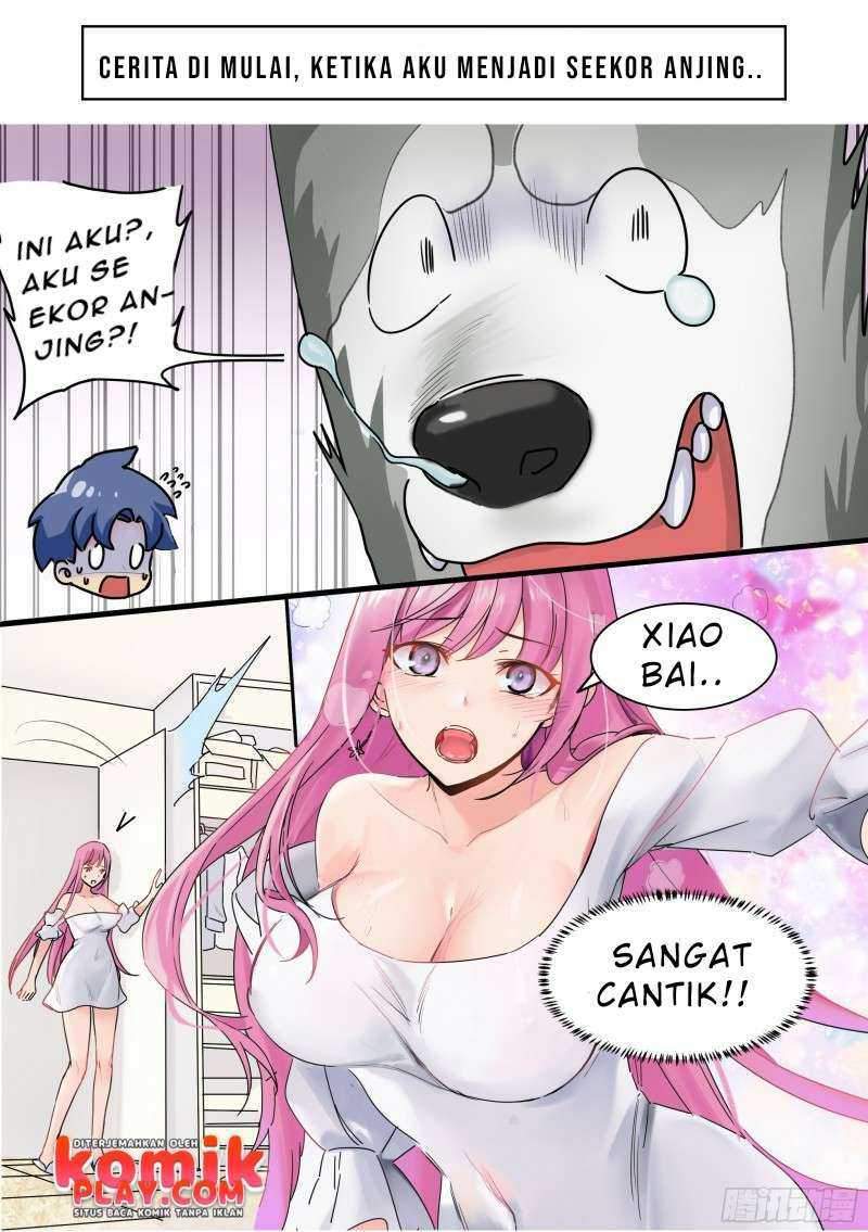 live stream: The Husky of the Goddess Chapter 0 - halaman 4