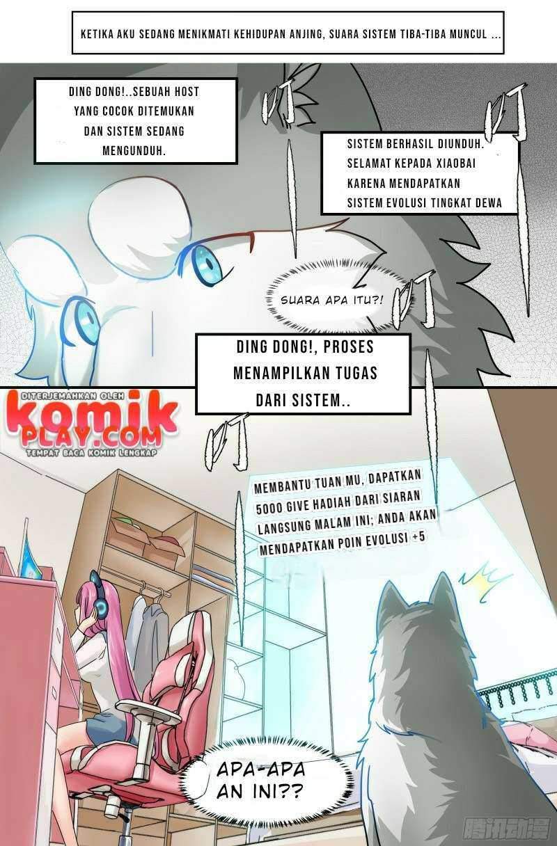 live stream: The Husky of the Goddess Chapter 0 - halaman 6