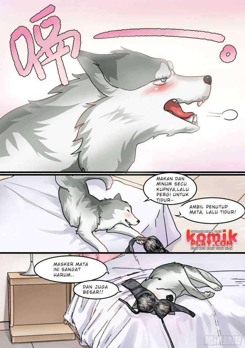 live stream: The Husky of the Goddess Chapter 1 - halaman 11