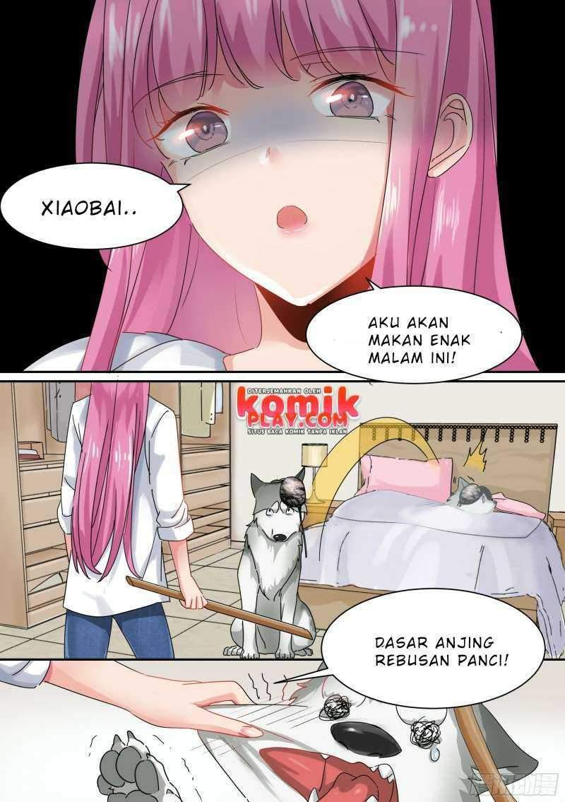 live stream: The Husky of the Goddess Chapter 1 - halaman 15