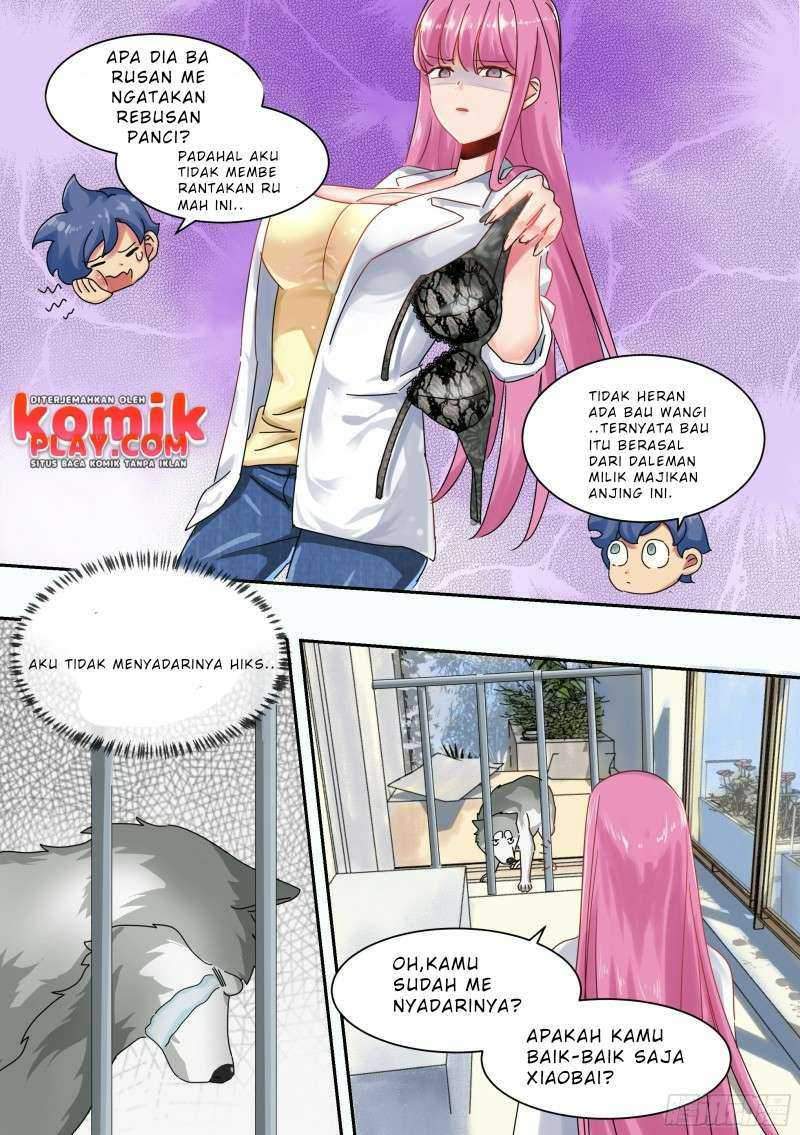 live stream: The Husky of the Goddess Chapter 1 - halaman 16