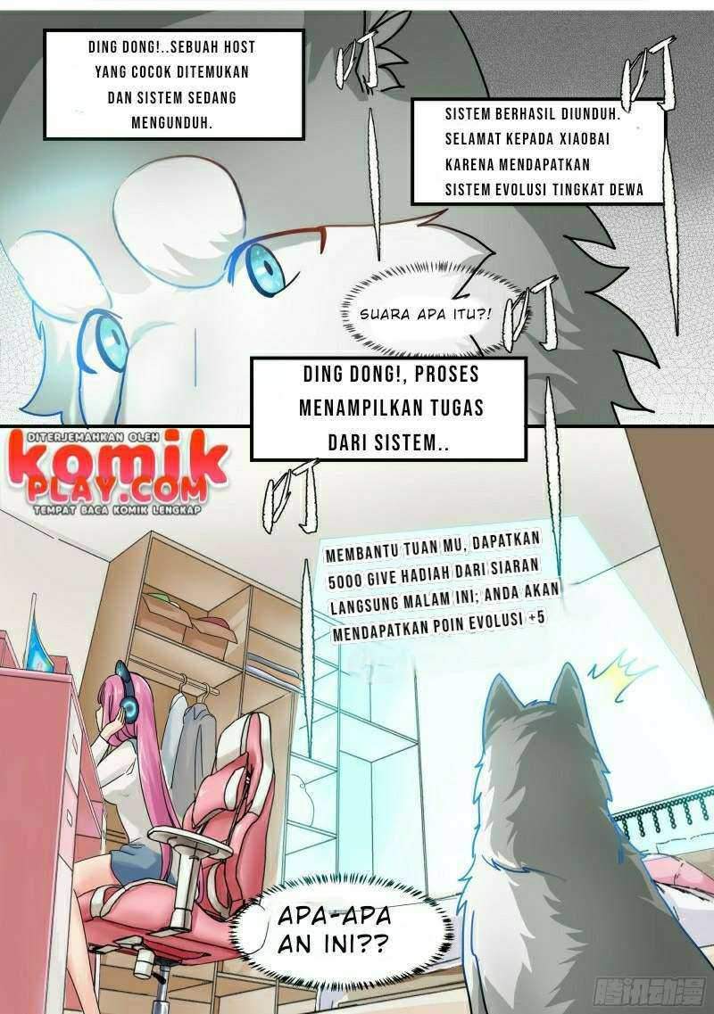 live stream: The Husky of the Goddess Chapter 1 - halaman 19