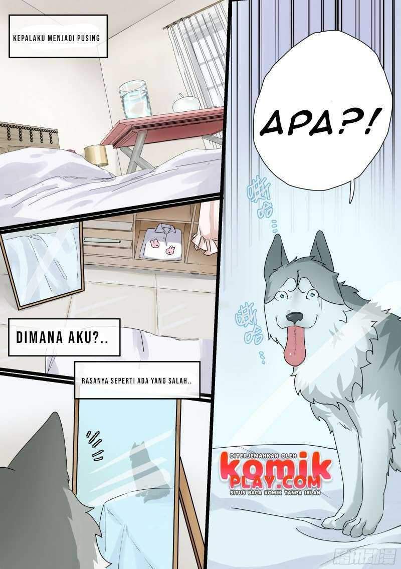 live stream: The Husky of the Goddess Chapter 1 - halaman 4