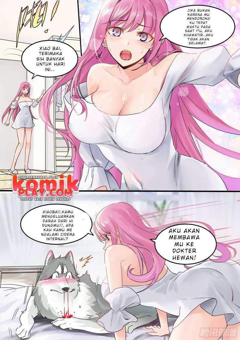 live stream: The Husky of the Goddess Chapter 1 - halaman 6