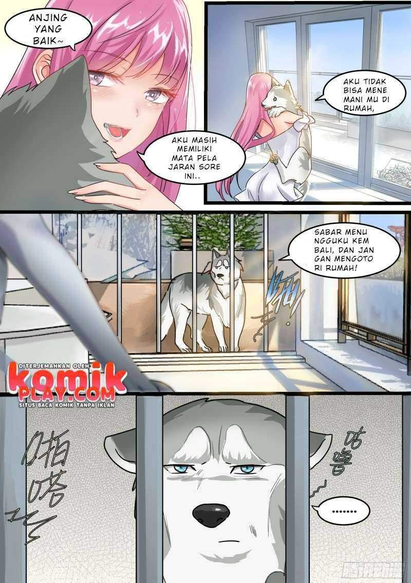live stream: The Husky of the Goddess Chapter 1 - halaman 8
