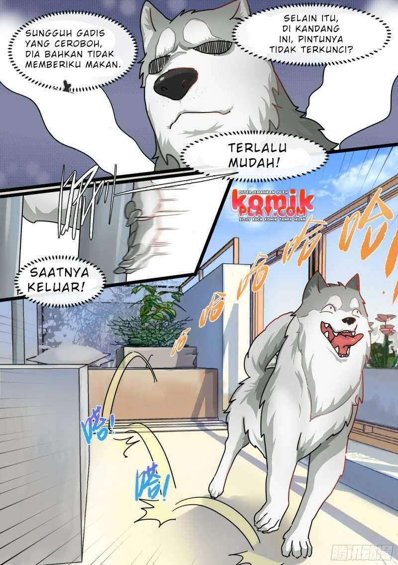 live stream: The Husky of the Goddess Chapter 1 - halaman 9