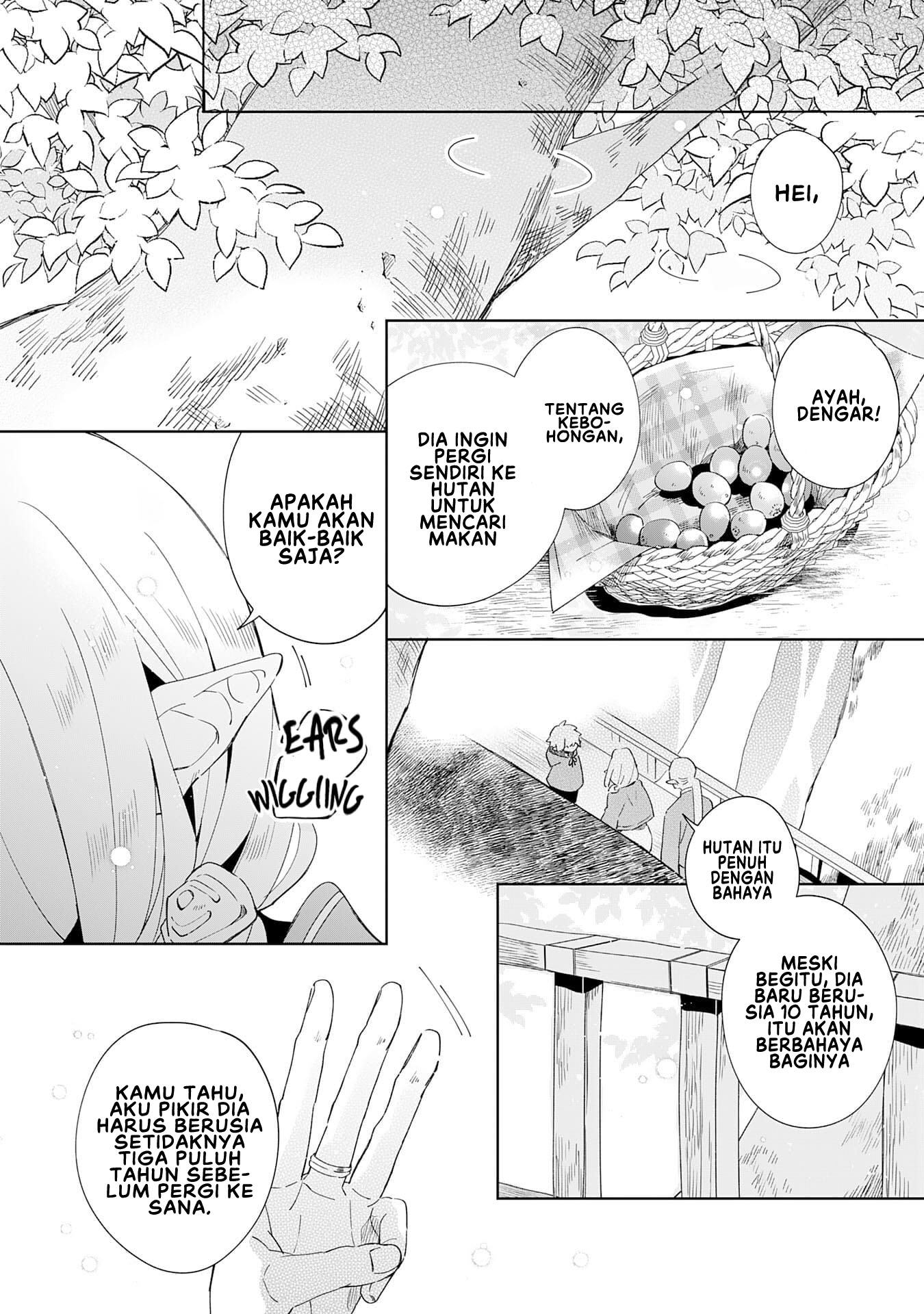 Majutsu wo Kiwamete Tabi ni Deta Tensei Elf, Moteamashita Jumyou de Ikeru Densetsu to Naru Chapter 1 - halaman 7