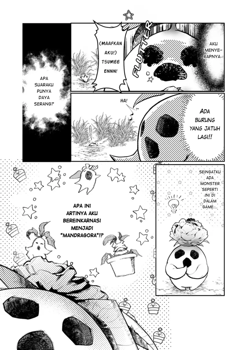 Mandragora tte Baretara Toubatsu desu ka?: Hana no Majo no Hohoemi wa Kanchigai no Tane o Maku Chapter 1 - halaman 12