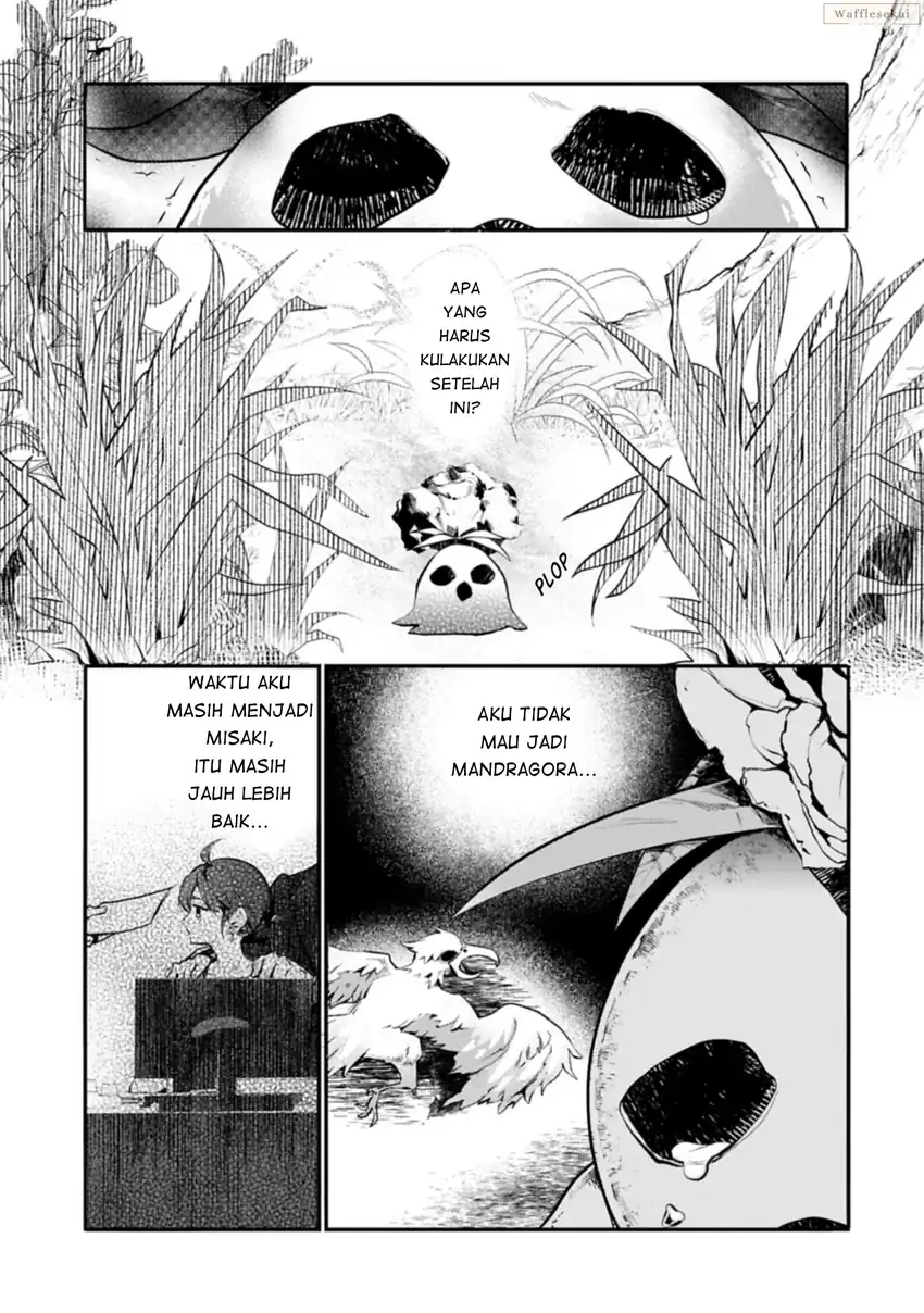 Mandragora tte Baretara Toubatsu desu ka?: Hana no Majo no Hohoemi wa Kanchigai no Tane o Maku Chapter 1 - halaman 14