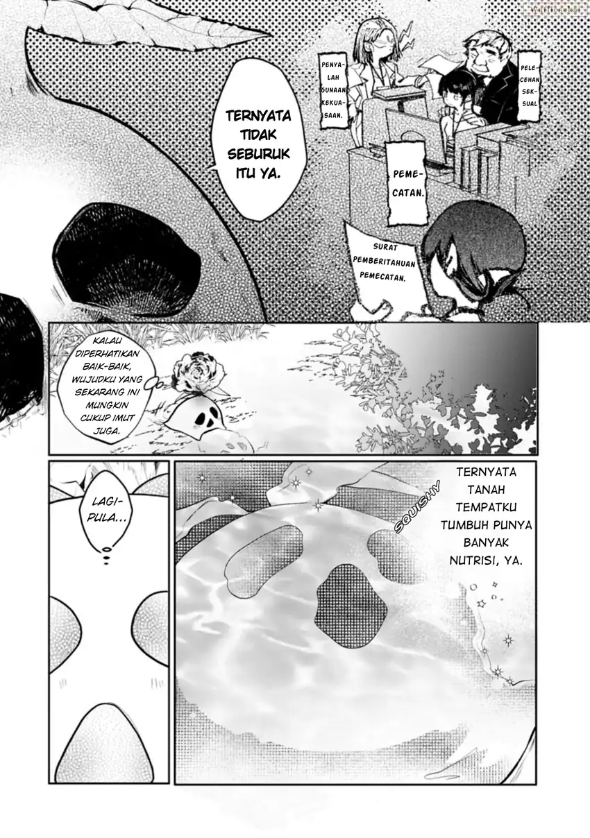 Mandragora tte Baretara Toubatsu desu ka?: Hana no Majo no Hohoemi wa Kanchigai no Tane o Maku Chapter 1 - halaman 15