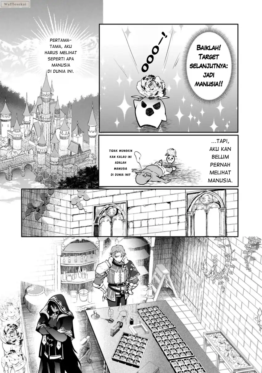 Mandragora tte Baretara Toubatsu desu ka?: Hana no Majo no Hohoemi wa Kanchigai no Tane o Maku Chapter 1 - halaman 21