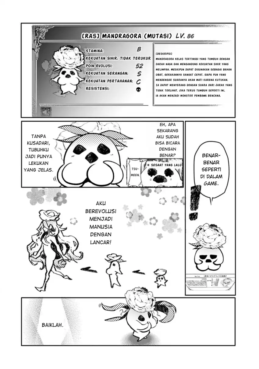 Mandragora tte Baretara Toubatsu desu ka?: Hana no Majo no Hohoemi wa Kanchigai no Tane o Maku Chapter 1 - halaman 33