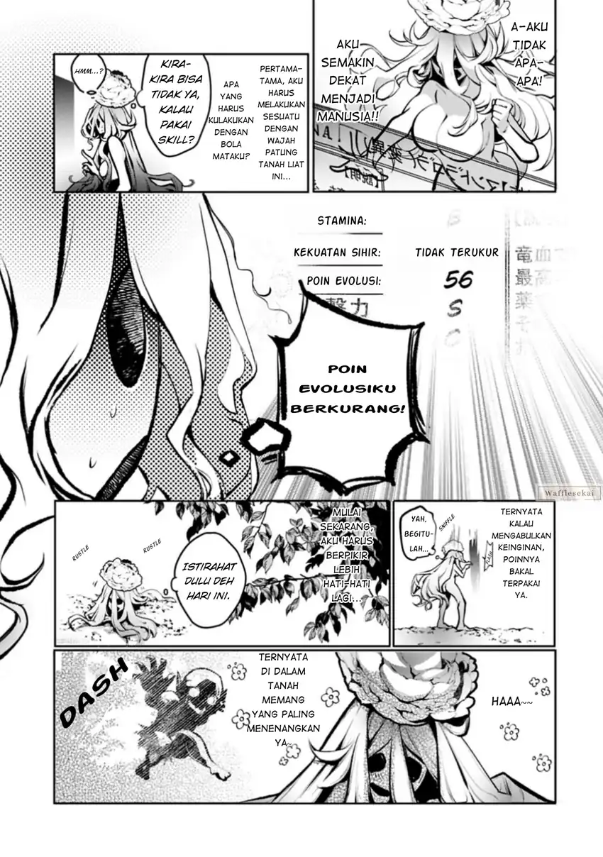 Mandragora tte Baretara Toubatsu desu ka?: Hana no Majo no Hohoemi wa Kanchigai no Tane o Maku Chapter 1 - halaman 36