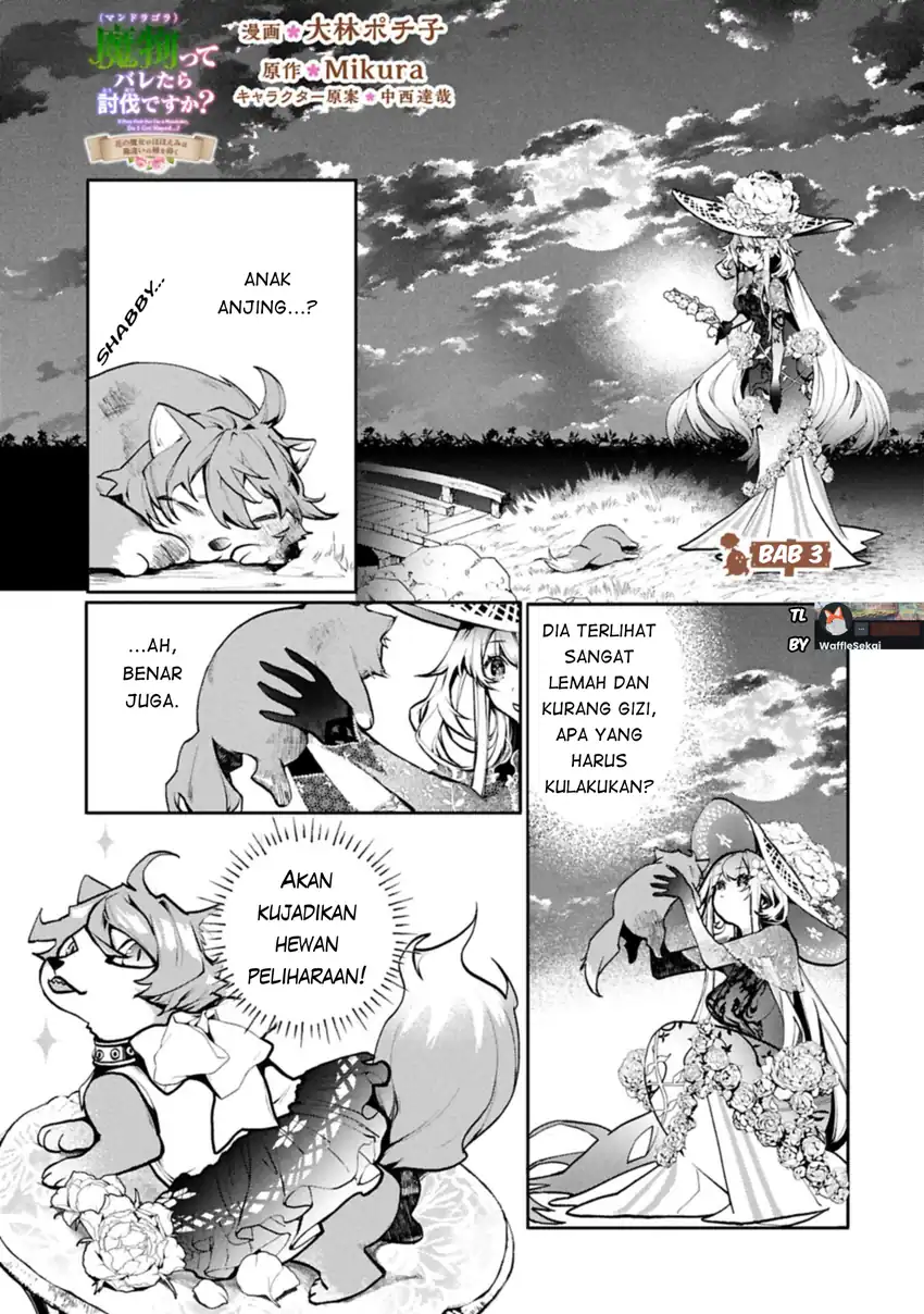 Mandragora tte Baretara Toubatsu desu ka?: Hana no Majo no Hohoemi wa Kanchigai no Tane o Maku Chapter 3.1 - halaman 3