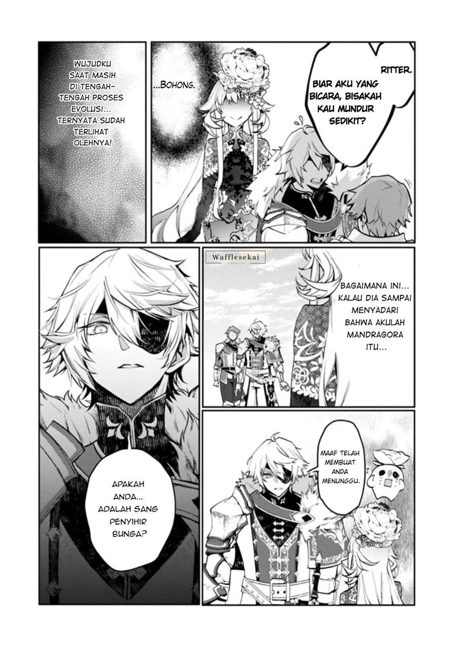 Mandragora tte Baretara Toubatsu desu ka?: Hana no Majo no Hohoemi wa Kanchigai no Tane o Maku Chapter 6.2 - halaman 12