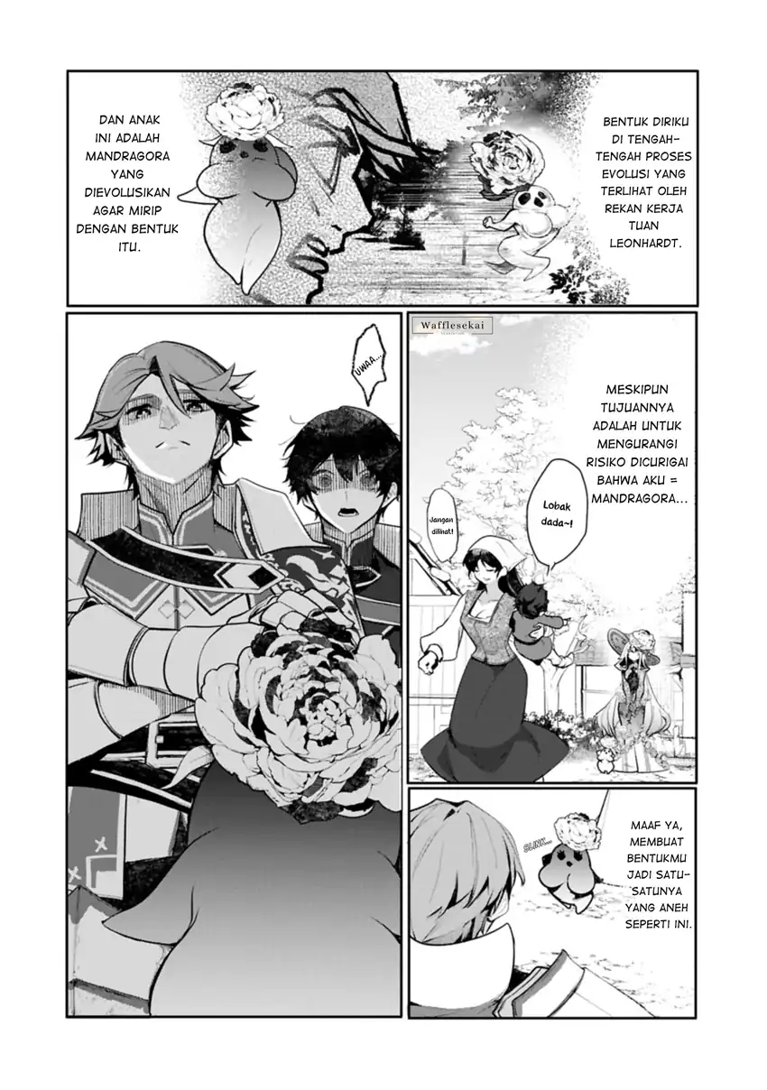 Mandragora tte Baretara Toubatsu desu ka?: Hana no Majo no Hohoemi wa Kanchigai no Tane o Maku Chapter 8.1 - halaman 13