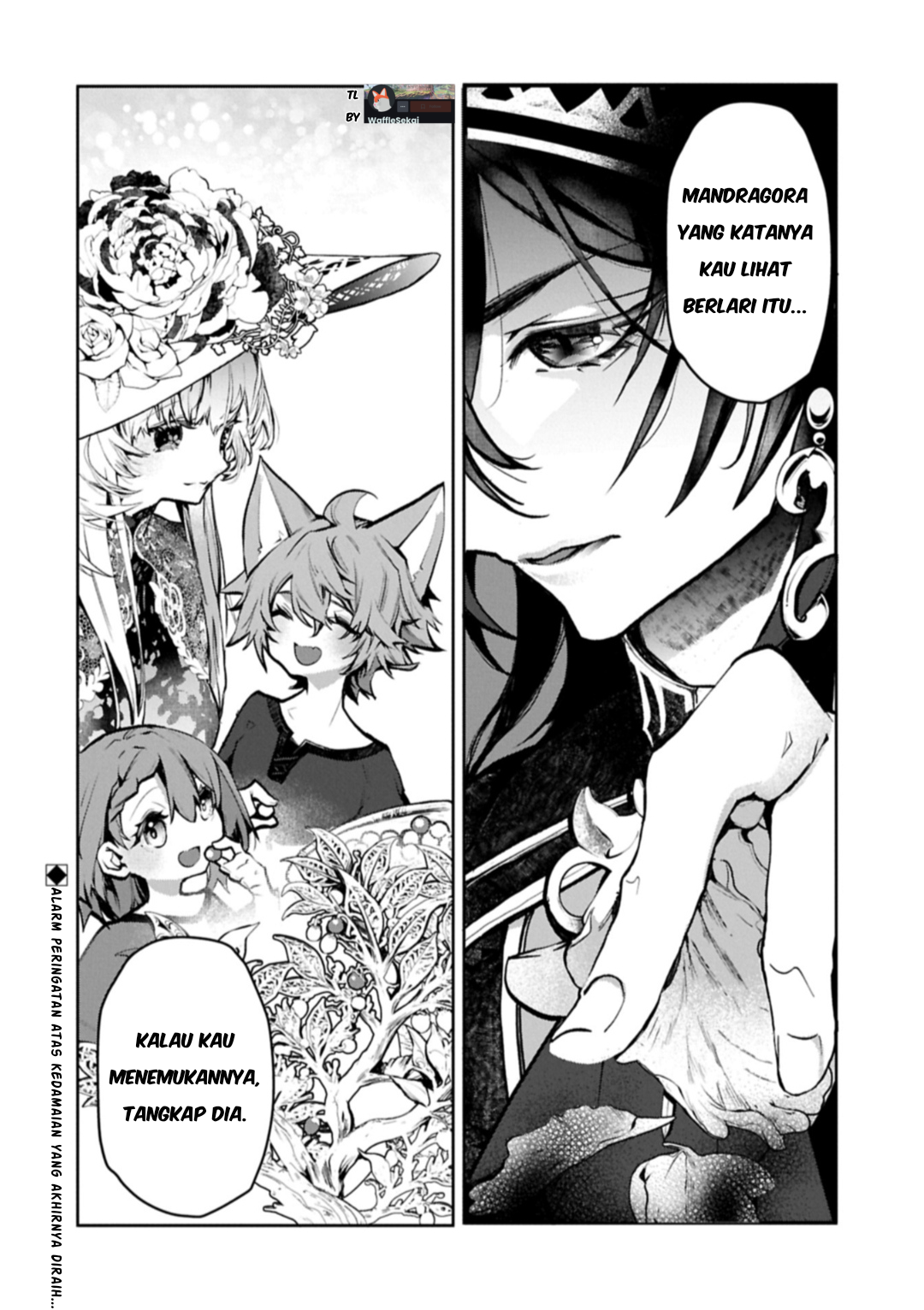 Mandragora tte Baretara Toubatsu desu ka? Hana no Majo no Hohoemi wa Kanchigai no Tane wo Maku Chapter 5.2 - halaman 23