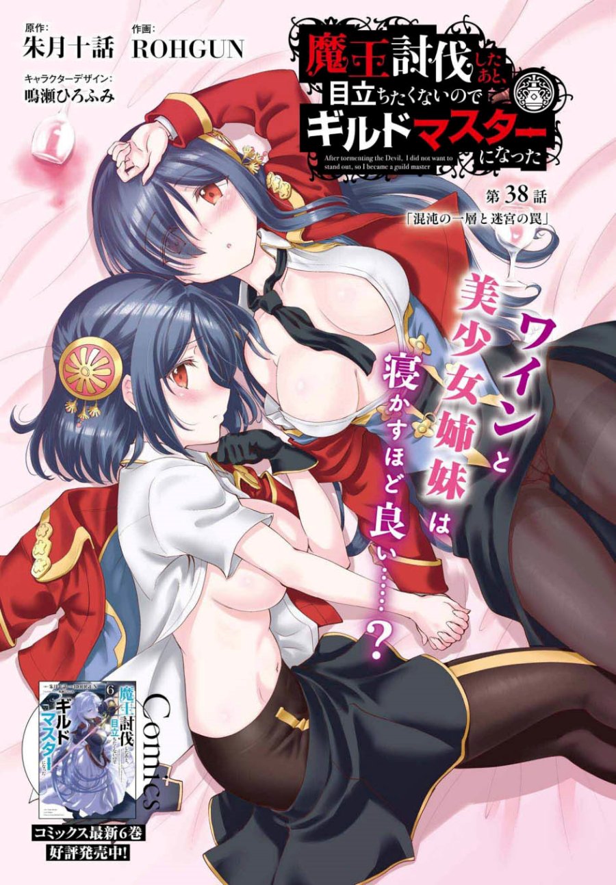 Maou Toubatsu shita Ato, Medachitakunai node Guild Master ni Natta Chapter 38 - halaman 2