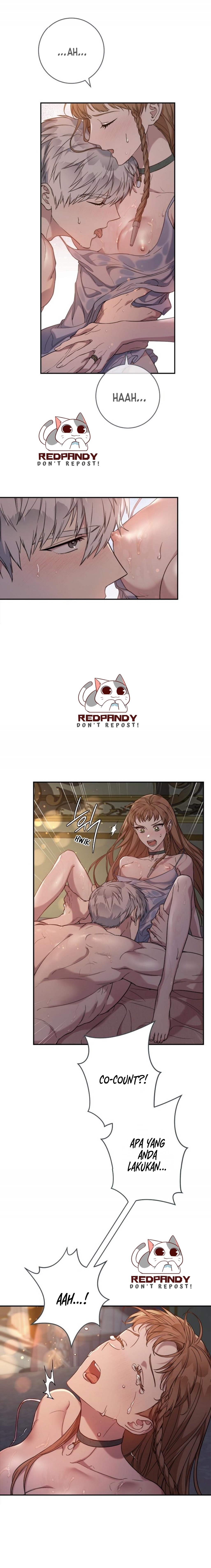 Marriage of Convenience Chapter 48.5 - halaman 5