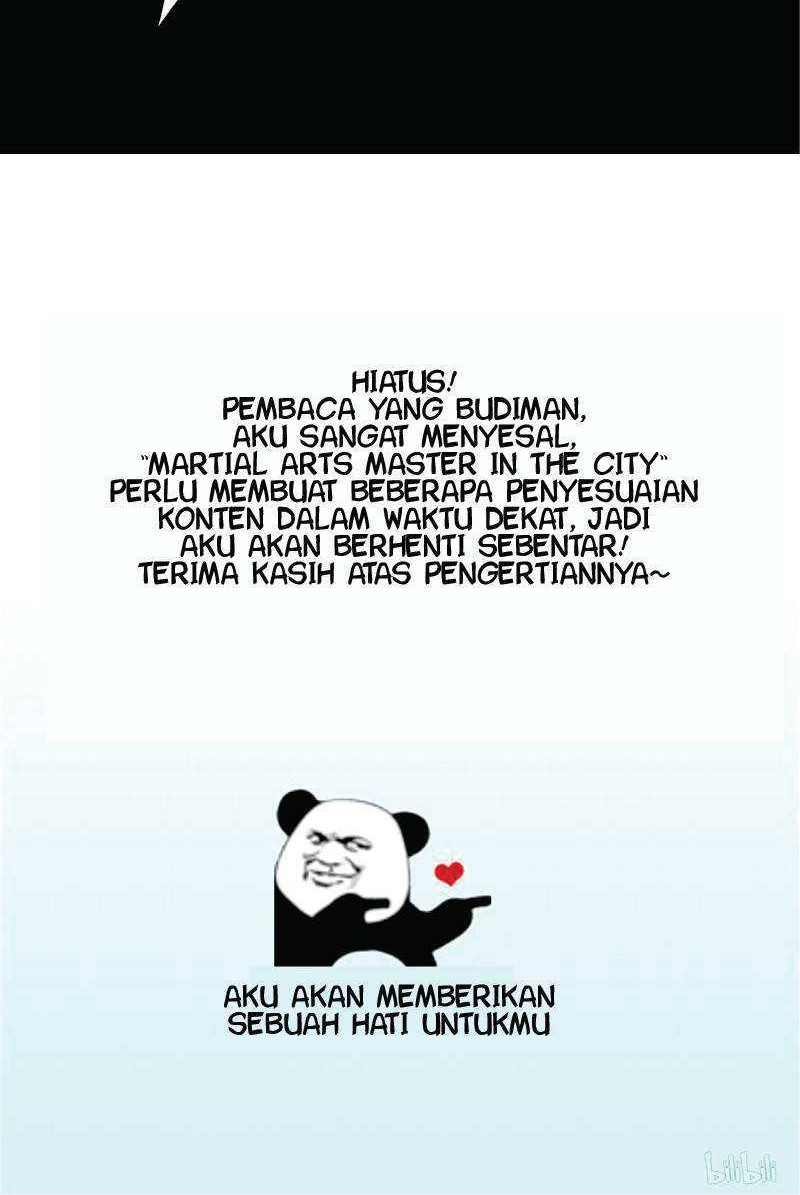 Martial Arts Master In The City Chapter 21 - halaman 25