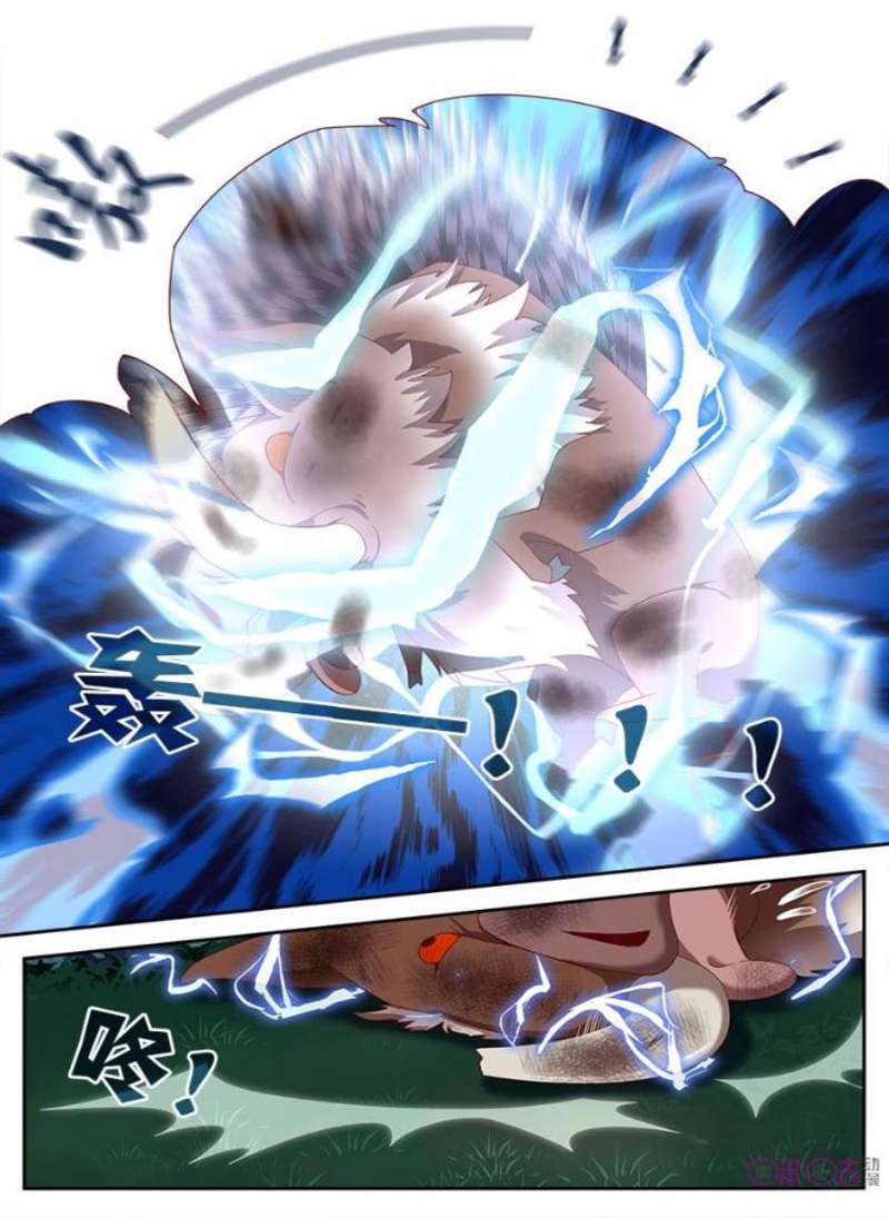 Martial God’s Space Chapter 8 - halaman 13