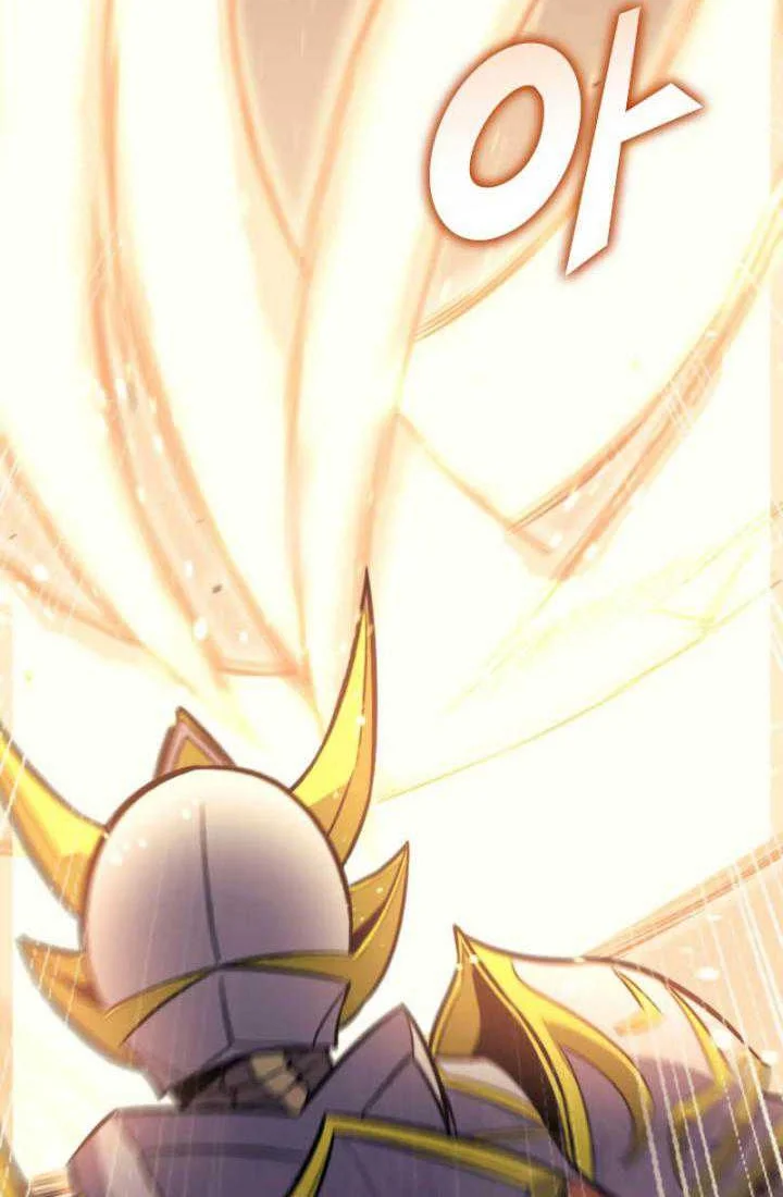 Max Level Returner Chapter 171 - halaman 73