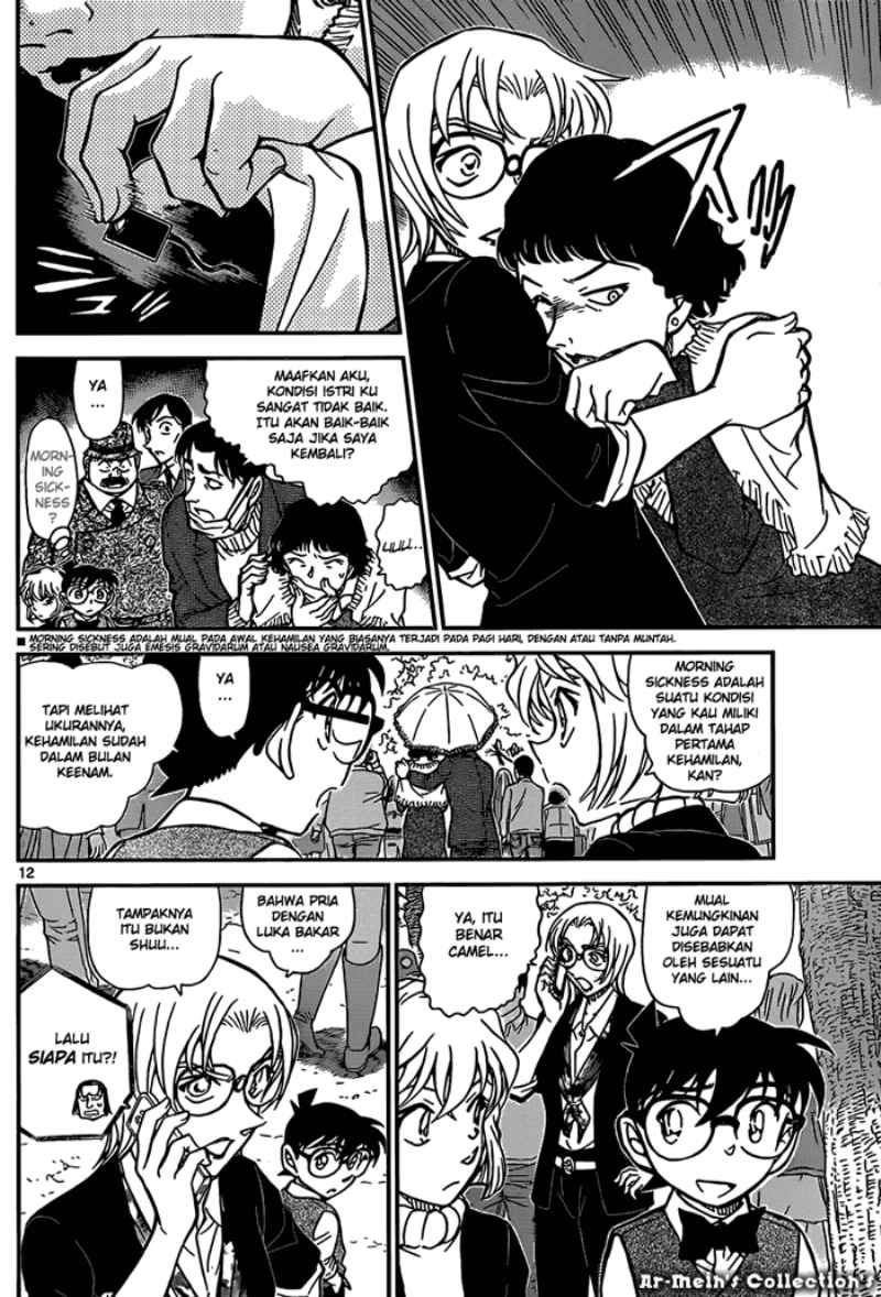 Meitantei Conan Chapter 852 - halaman 13