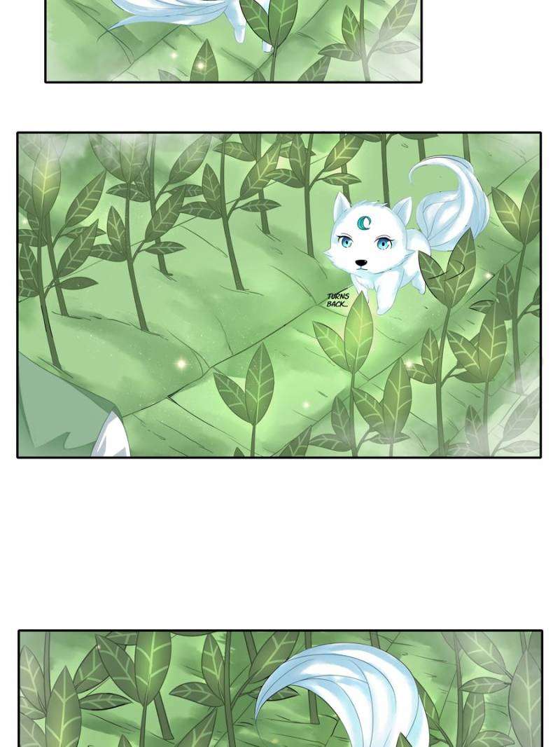 Miracle Doctor Abandoned Girl Chapter 6 - halaman 47