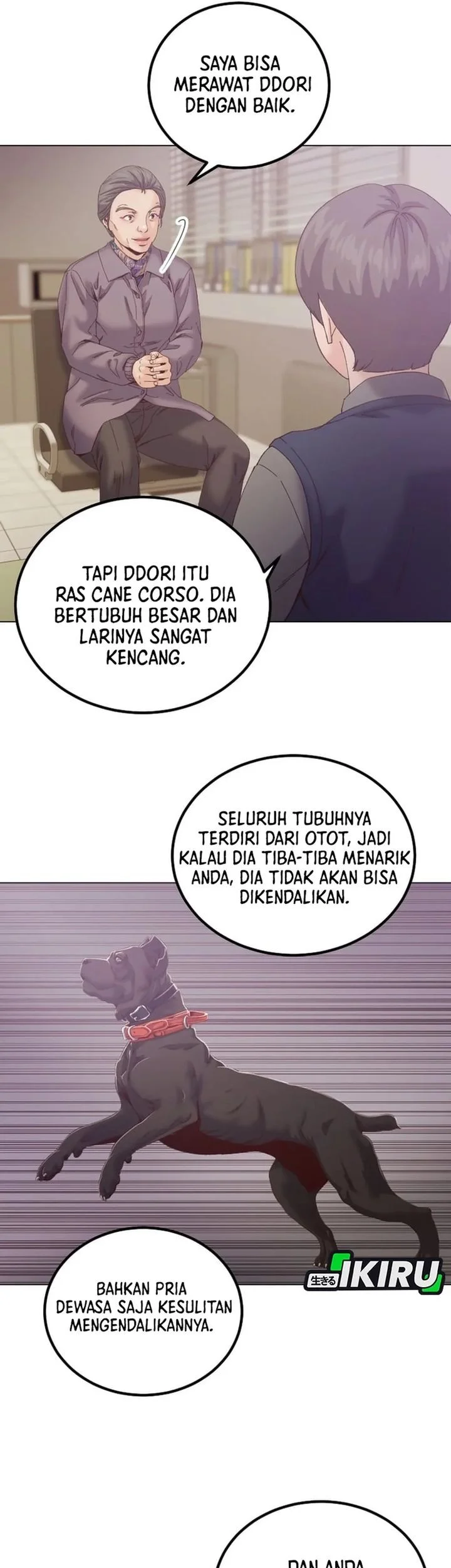 Mirror (Mong-woo) Chapter 11 - halaman 13
