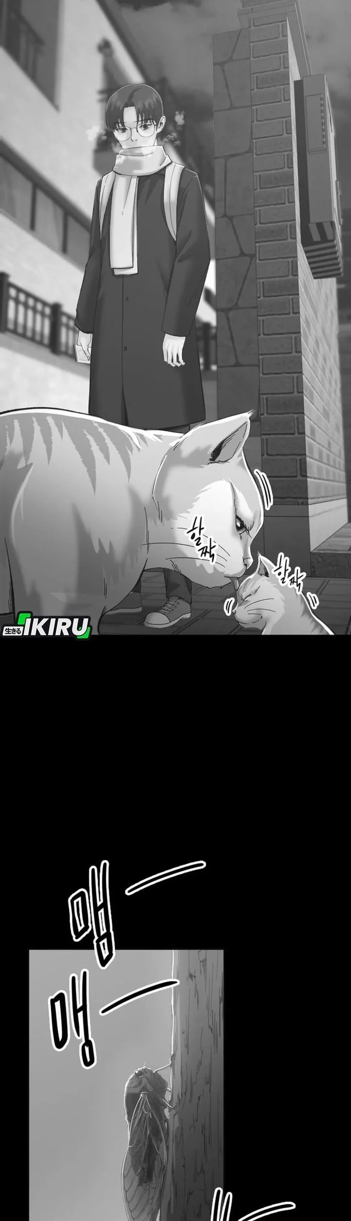 Mirror (Mong-woo) Chapter 11 - halaman 43
