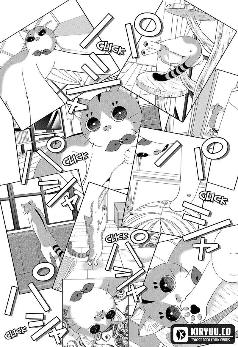 Miyaou Tarou ga Neko wo Kau Nante Chapter 19 - halaman 9