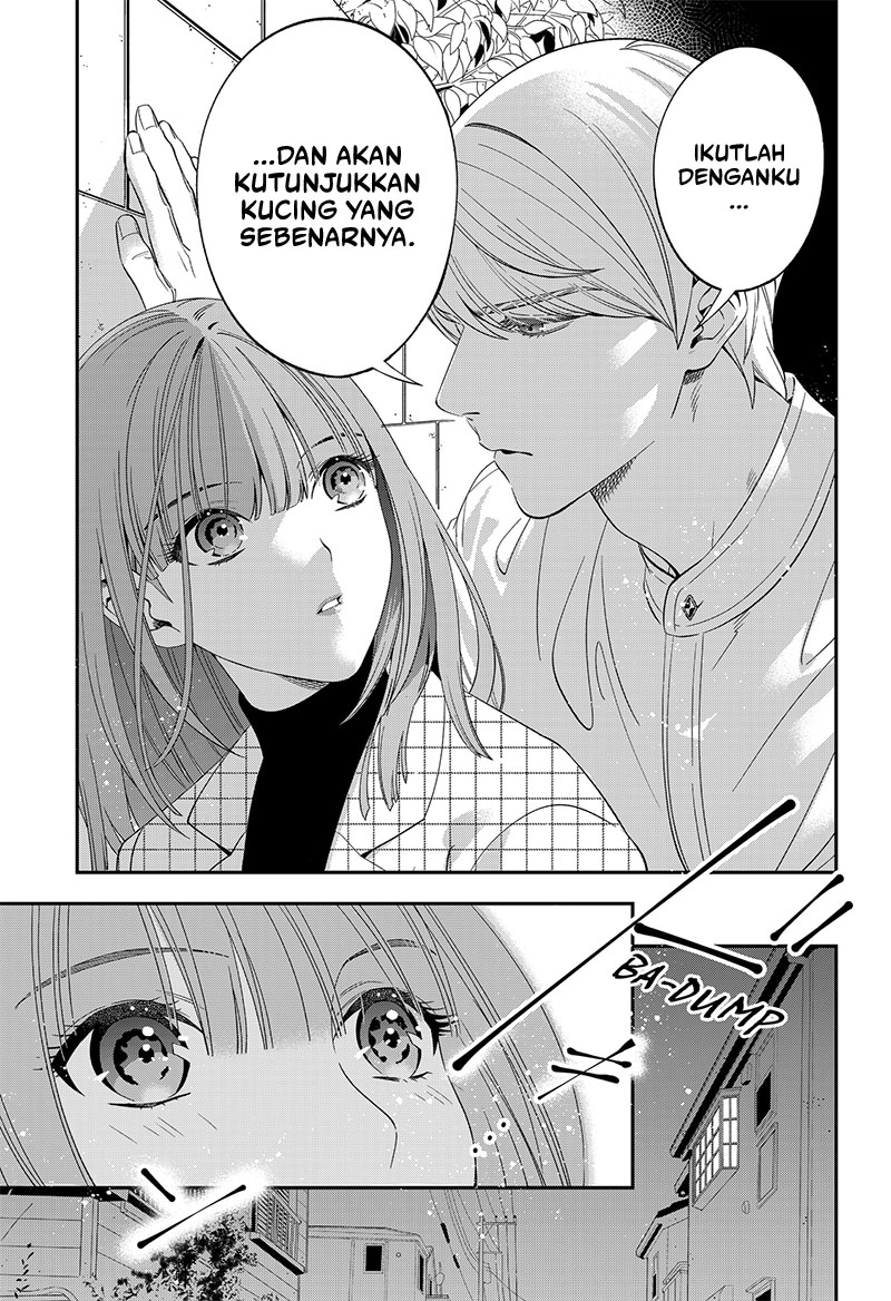 Miyaou Tarou ga Neko wo Kau Nante Chapter 3 - halaman 23